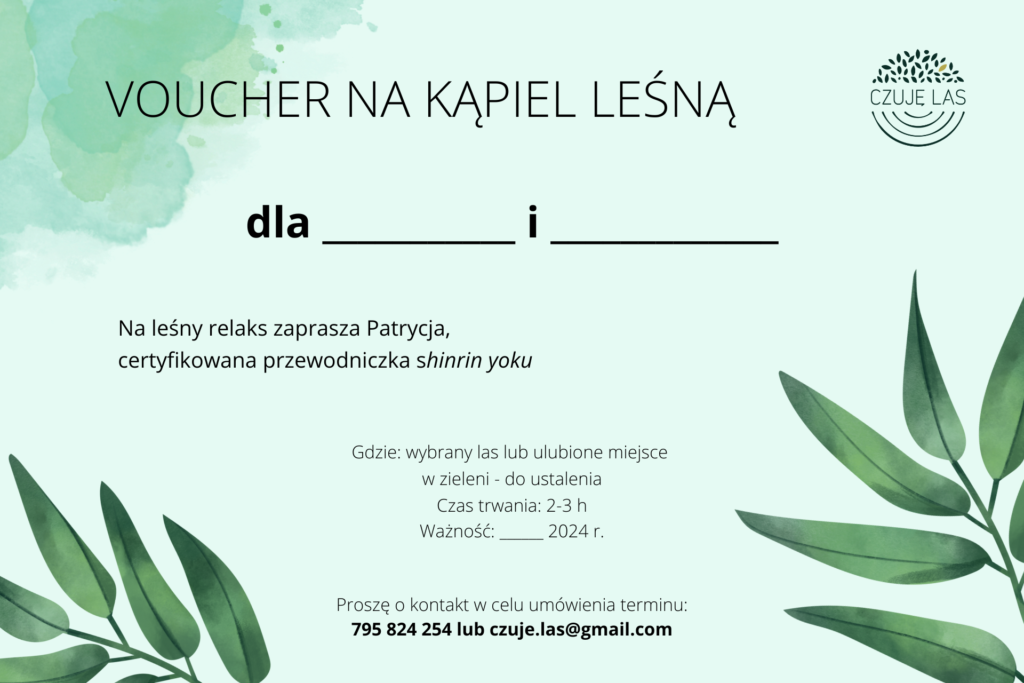 vouvher-na-kapiel-lesna-czuje-las